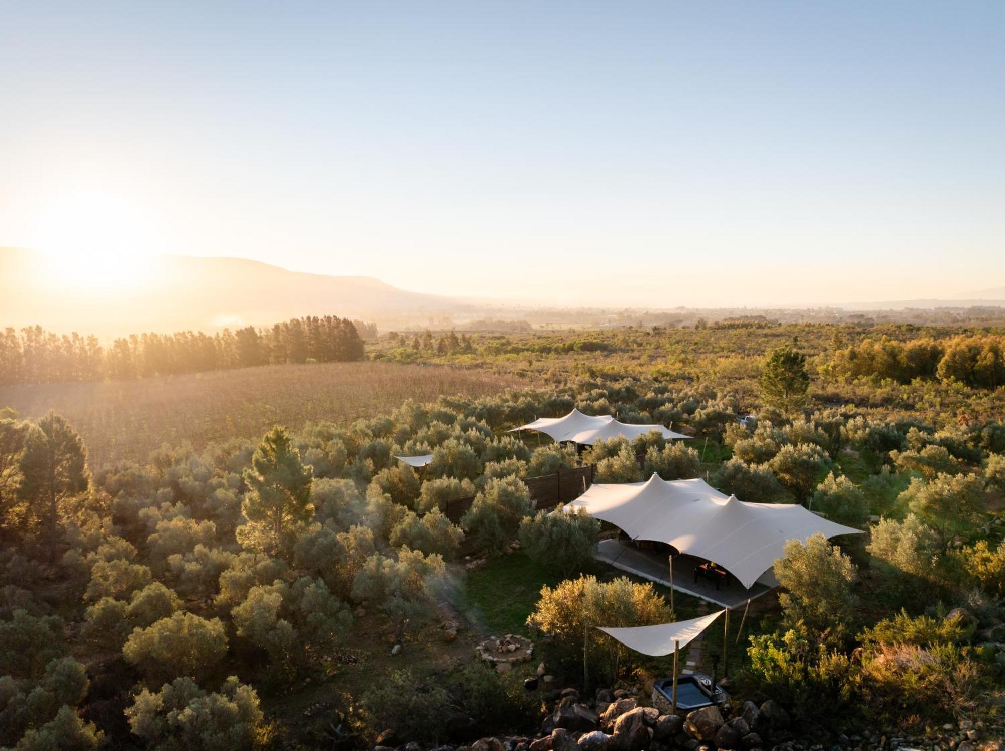 Hotel Wagyu Mountain Paarl